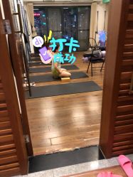 -广州萨谛艾扬格瑜伽中心