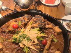 -老板恋上鱼(印象城店)