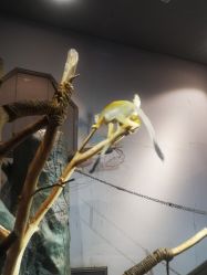 -未来动物城动物主题公园(大悦城店)