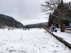 -武陵山森林公园