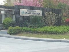 -上海崇明金茂凯悦酒店