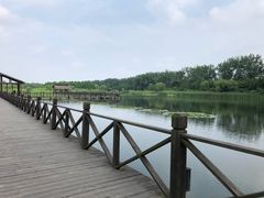 -溱湖国家湿地公园