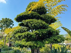 -茅草房·河畔园林火锅