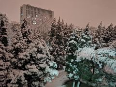 -东北大学(南湖校区)
