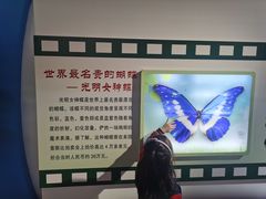 -上海昆虫博物馆