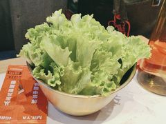 -杨记齐齐哈尔烤肉(总店)