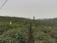 -南京市江宁方山
