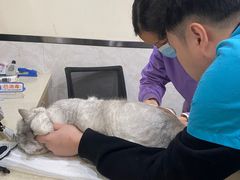 -心语宠物医院·急重症转诊中心·瑞辰华诺(南青路店)