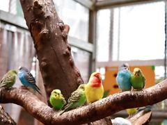 -正佳雨林生态植物园