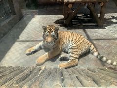 -西安秦岭野生动物园