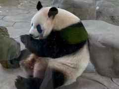 -宁波野生动物园