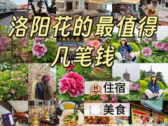 -洛阳国际大酒店