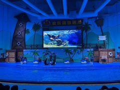 -石家庄极地海洋世界