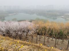 -河北省园博园