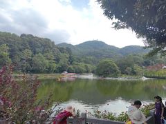 -广州市帽峰山景区