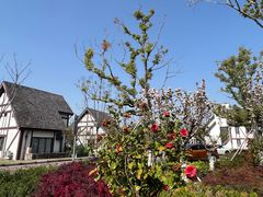 -太阳岛度假酒店