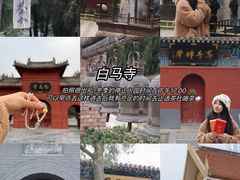 -洛阳麦盛斋糕点店(中州路店)