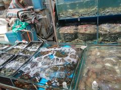 -韩家墅海吉星农产品批发市场