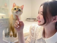 -lincat·猫舍(广州店)