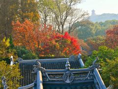 -惠山古镇·寄畅园