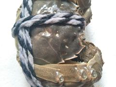 -小陆莲花蟹园农家乐(莲花岛店)