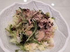 田园巧拌菜-新开元大酒店(花雨路店)