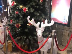 -武商摩尔影城(国广IMAX激光店)