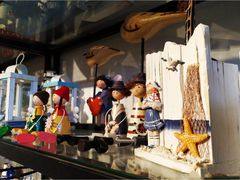 -桂林市花鸟市场