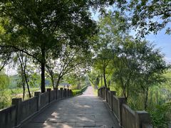 -西溪国家湿地公园