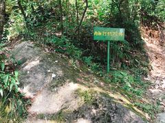 -东天目山风景区