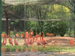 -石家庄市动物园