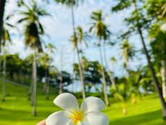 -班拉雅潜水度假村