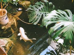 -聚缘堂·海鲜私房菜(松岭路店)