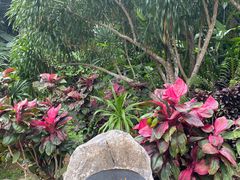 -西双版纳傣族园