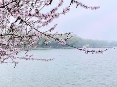 -北京凤凰岭