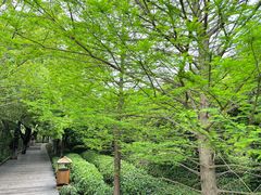 -天目湖山水园