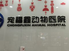 -宠福鑫动物医院(望京分院)