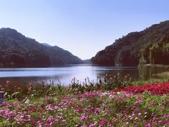 -广州市石门国家森林公园
