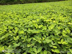 -金堂县云顶石城风景区