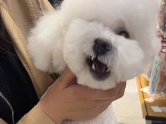 -FAELING PETS美天灵宠物(富力广场店)