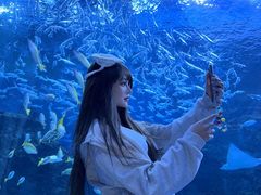 -海合安成都极地海洋公园