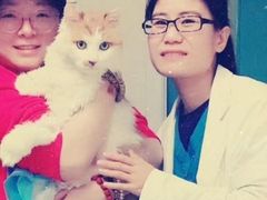 -美联众合爱康动物医院•复杂内科•肿瘤科•牙科•腔镜诊疗中心