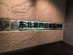 -大庆市博物馆