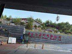 -青藏高原野生动物园