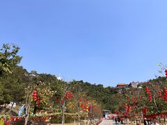 -东莞观音山旅游风景区