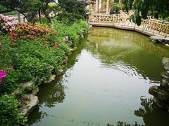 -老幺泉水鸡