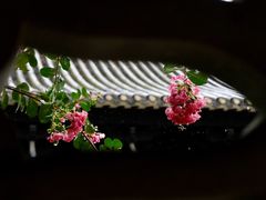 -岭南和园