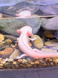 -Zoolung Zoolung动物主题公园(海信广场店)