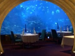 -迪拜帆船酒店海底餐厅