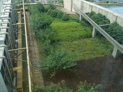 -上海外滩茂悦大酒店